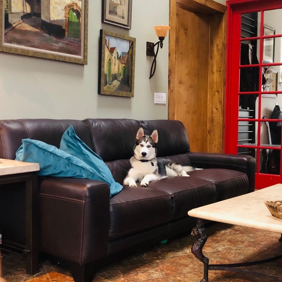 Meet Your Posher - Picture 2 of 7